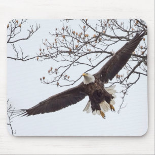 Bald Eagle Wingspread Mousepad