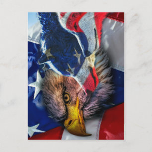 Bald Eagle Wolf American Flag Postkarte