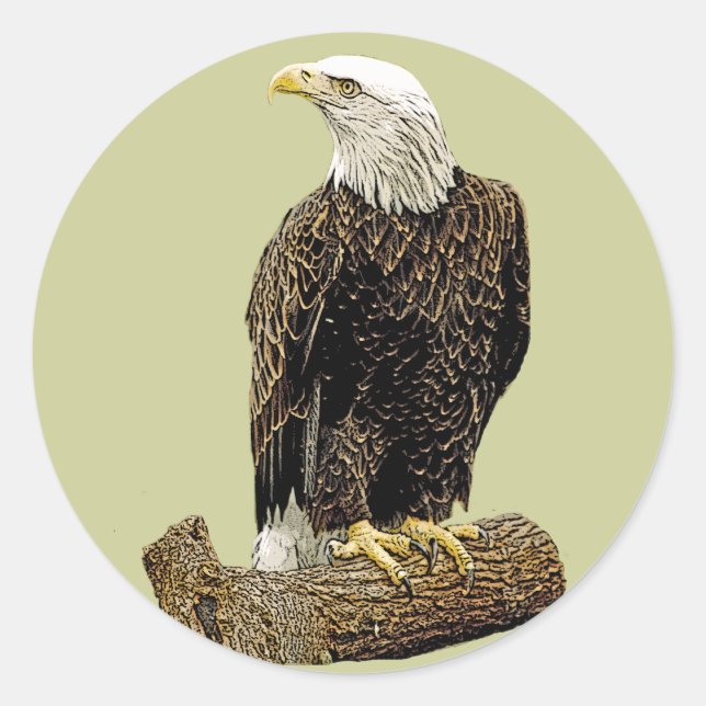 Bald Eagle Zeichnend Runder Aufkleber (Vorderseite)