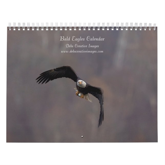 Bald Eagles 2026 Kalender (Titelbild)