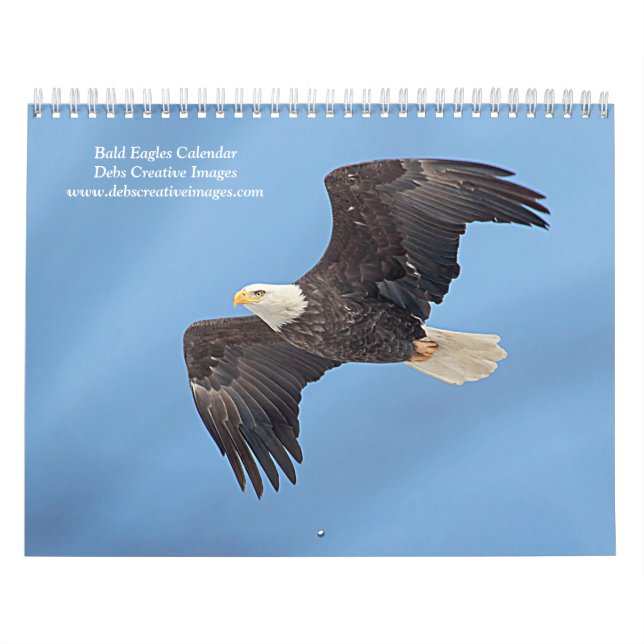 Bald Eagles 2026 Kalender (Titelbild)