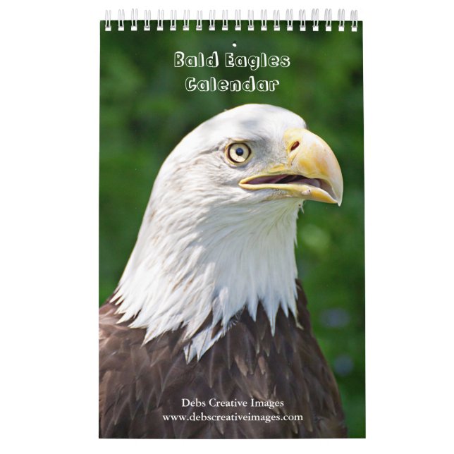 Bald Eagles 2026 Kalender (Titelbild)