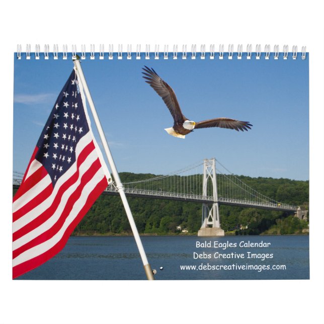 Bald Eagles 2026 Kalender (Titelbild)