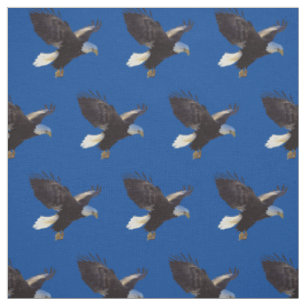 Bald Eagles American Bird Stoff