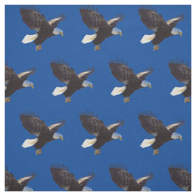 Bald Eagles American Bird Stoff (Muster)