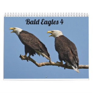 Bald Eagles $ Kalender