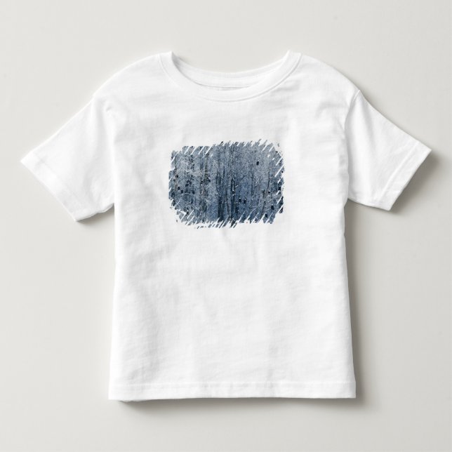 Bald Eagles Kleinkind T-shirt (Vorderseite)