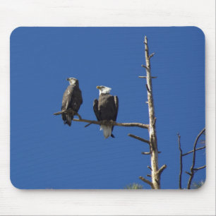 Bald Eagles Mousepad