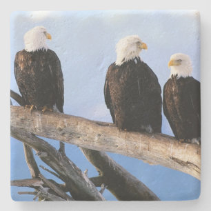 Bald Eagles Stone Untersetzer