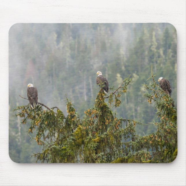 Bald Eagles | Tongass National Forest Alaska Mousepad (Vorne)