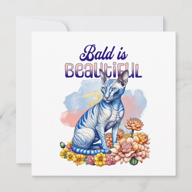 Bald ist schön | Haarlose Katze (Vorderseite)