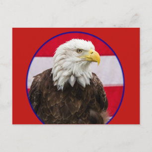 Bald ist schön postkarte