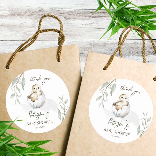 Bald kleine Vogel Feder Baby Dusche Gefallen Runder Aufkleber (Hatching soon little bird spring baby shower favor sticker thank you favor stickers cute baby owl)