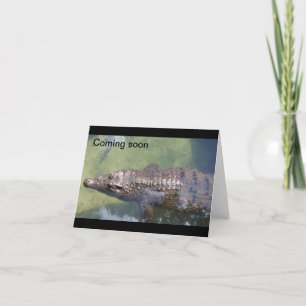 Bald kommt Alligator Karte