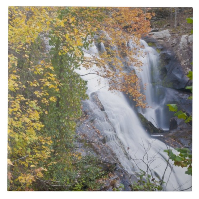 Bald River Falls Fliese (Vorderseite)