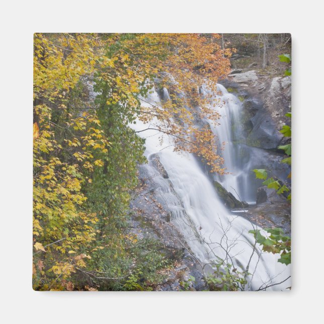 Bald River Falls Magnet (Vorne)