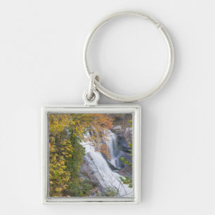 Bald River Falls Schlüsselanhänger