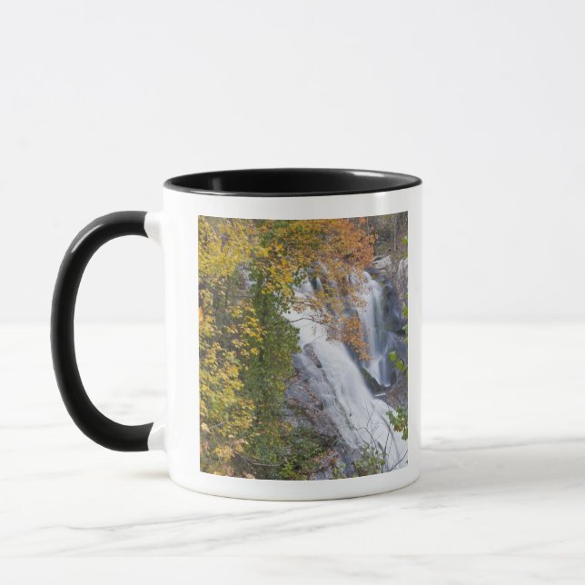 Bald River Falls Tasse (Links)