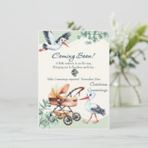 Bald Sohn Storch & Kinderwagen Schwangerschaft