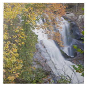 Bald-Wasserfälle Fliese