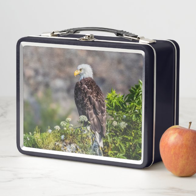 Baldadler auf dem Felsen Metall Brotdose (Beispiel)