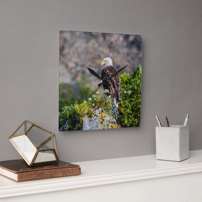 Baldadler auf dem Felsen Quadratische Wanduhr (Büro)