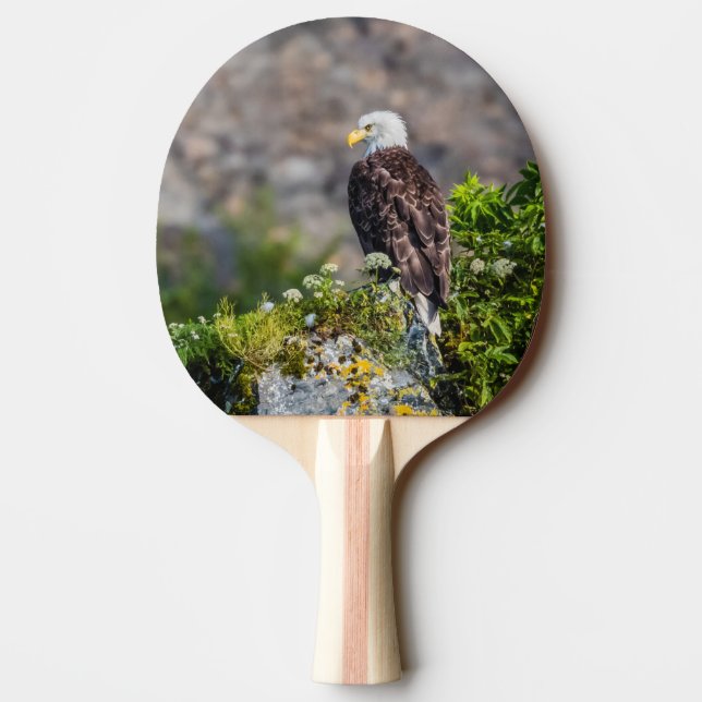 Baldadler auf dem Felsen Tischtennis Schläger (Rückseite)