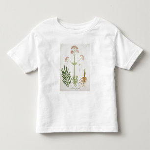 Baldrian von "Phytographie Medicale" durch Kleinkind T-shirt