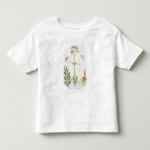 Baldrian von "Phytographie Medicale" durch Kleinkind T-shirt
