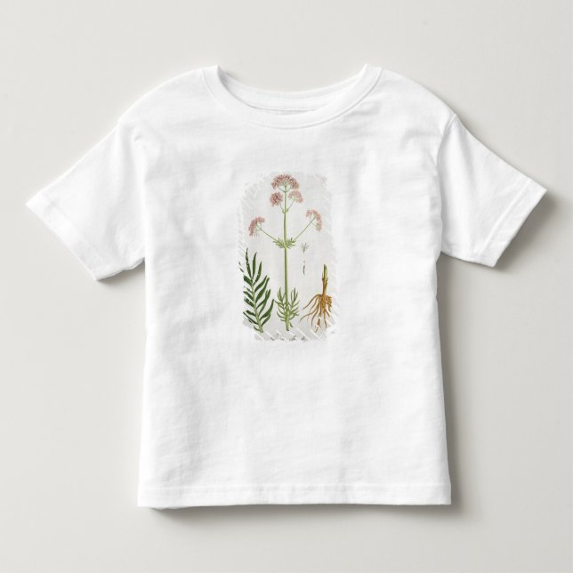 Baldrian von "Phytographie Medicale" durch Kleinkind T-shirt (Vorderseite)
