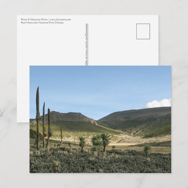 Bale Mountains Äthiopien Postkarte (Vorne/Hinten)