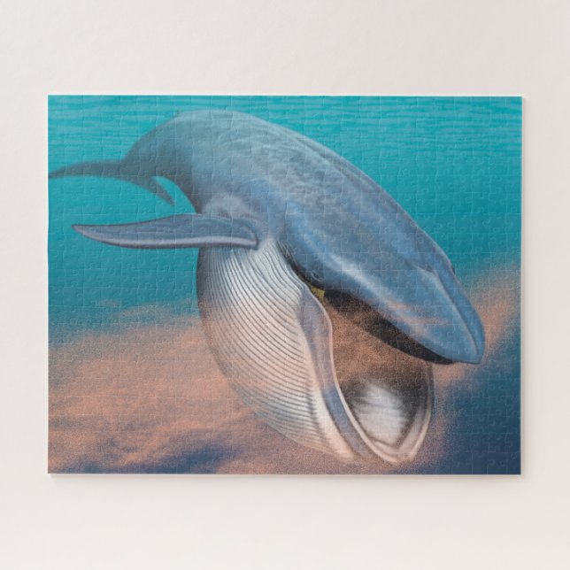 Baleen Whale Puzzle (Horizontal)