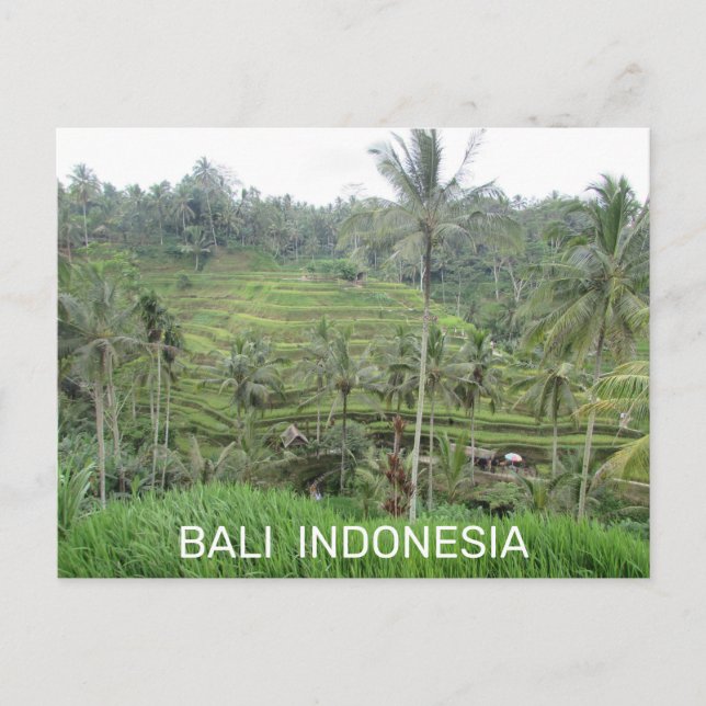 Bali Indonesia Postcard Postkarte (Vorderseite)