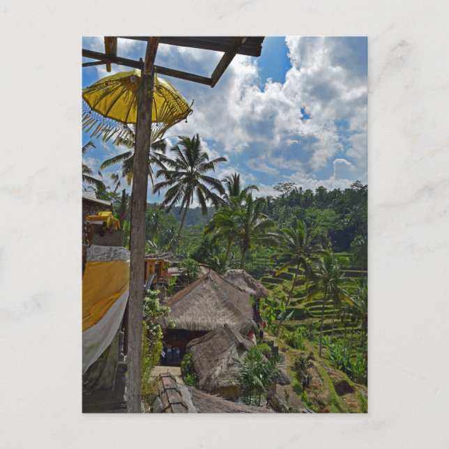 Bali Indonesia Reisfelder Postkarte (Vorderseite)