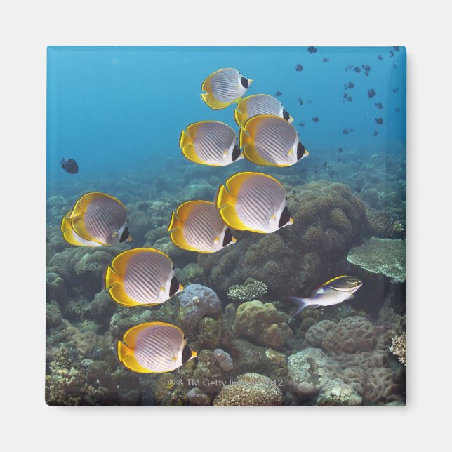 Bali, Indonesien Magnet (Vorne)