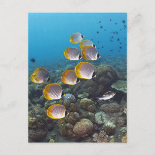 Bali, Indonesien Postkarte