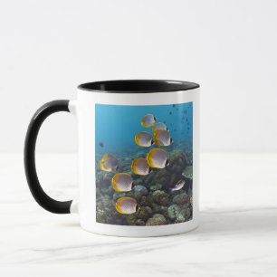 Bali, Indonesien Tasse
