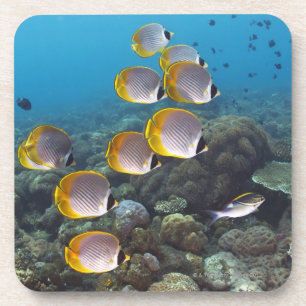 Bali, Indonesien Untersetzer