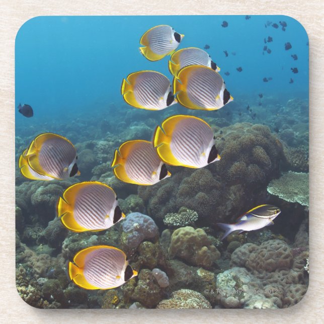 Bali, Indonesien Untersetzer (Vorderseite)