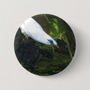 Bali Myna Button
