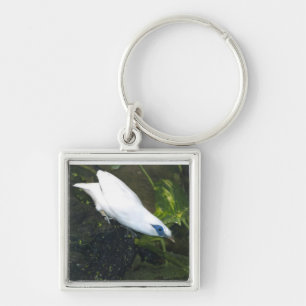 Bali Myna Schlüsselanhänger