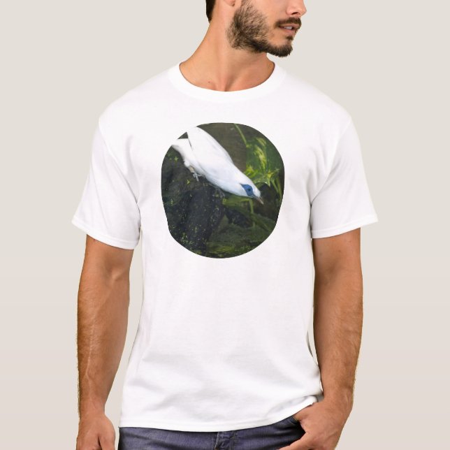 Bali Myna T-Shirt (Vorderseite)