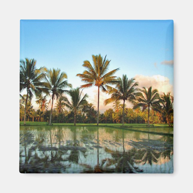 Bali Palm Trees Magnet (Vorne)