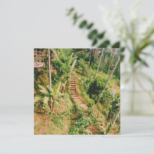 Bali Regenwaldtreppe (Stehend Vorderseite)