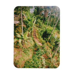 Bali Regenwaldtreppe Magnet