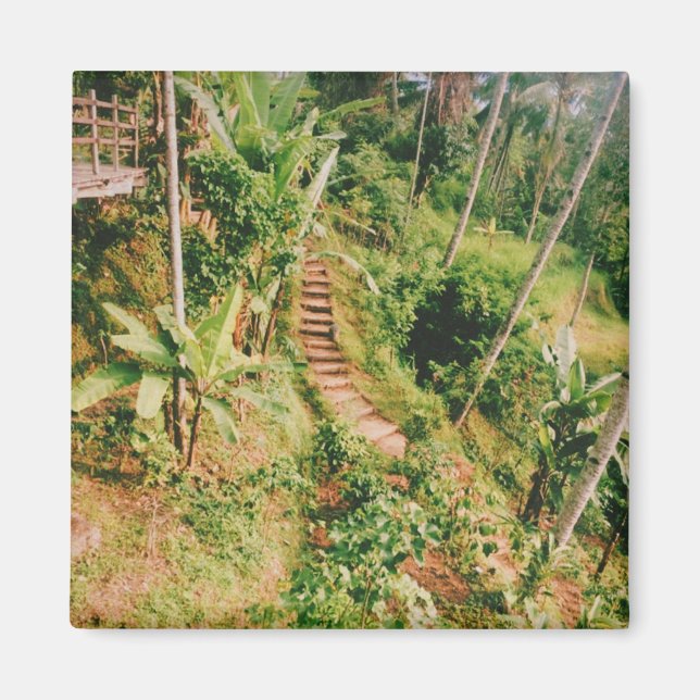 Bali Regenwaldtreppe Magnet (Vorne)