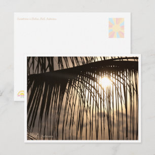 Bali-Sonnenuntergang Palmwedel – Reise-Postkarte Postkarte
