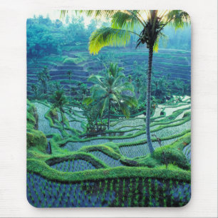 Bali Übersicht über Reisterrassen Mousepad