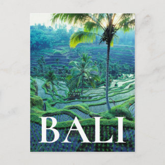 Bali | Übersicht über Reisterrassen Postkarte