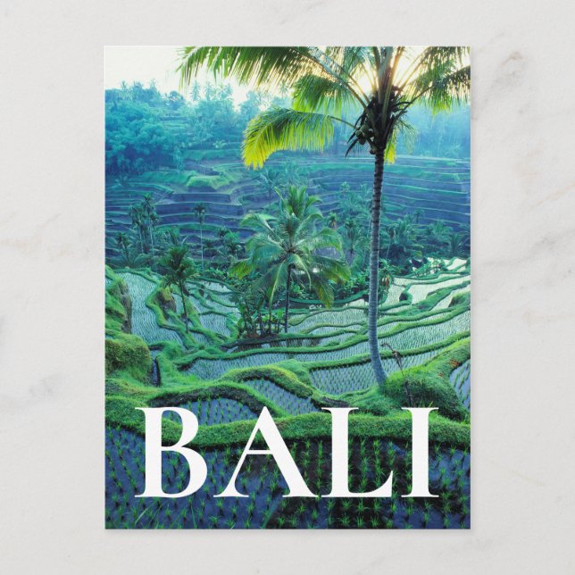 Bali | Übersicht über Reisterrassen Postkarte (Vorderseite)